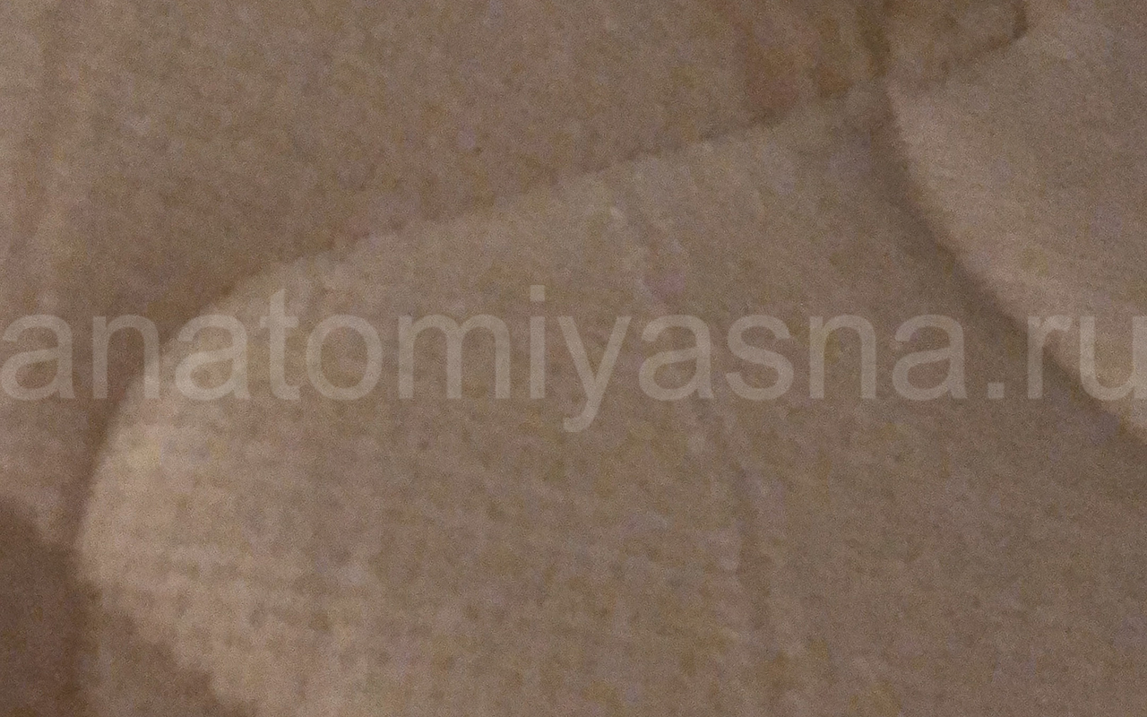 отзыв о Матрас Magniflex New Merino фото 3